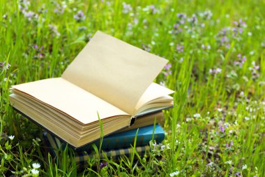 apilados libros en pasto, fuera