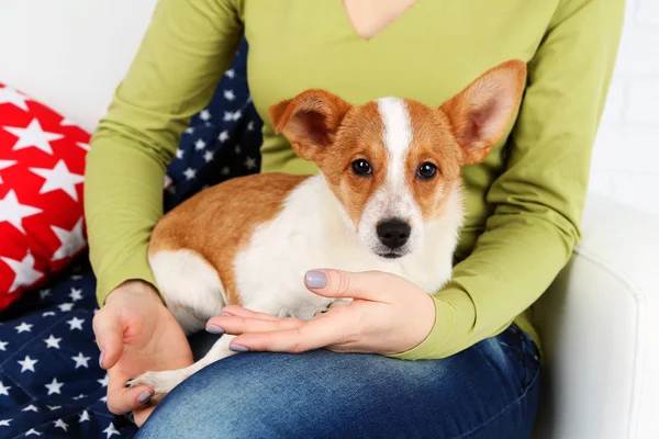 Woman sitting on sofa with dog — Stock Photo, Image