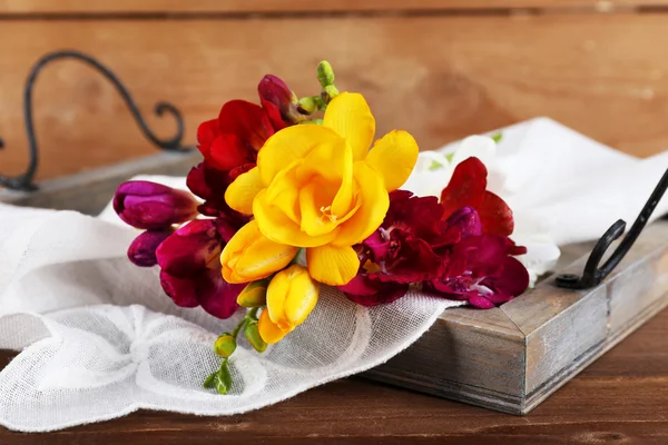 Hermosas flores de primavera —  Fotos de Stock