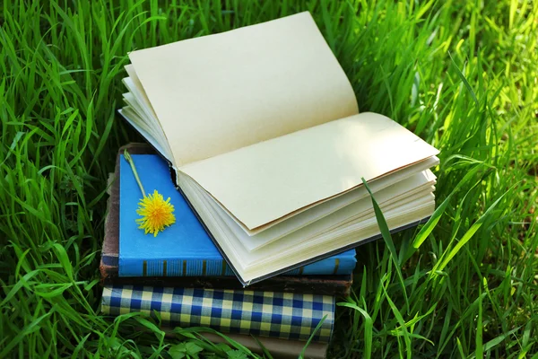 Stacked books in grass, outside — Stock Photo, Image