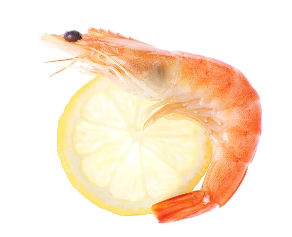 Boiled shrimp with lemon isolated on white — Stock Photo, Image