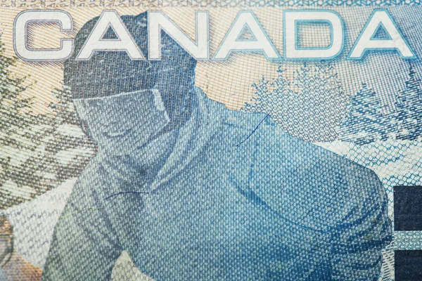 Close up van 5 Canadese dollars — Stockfoto