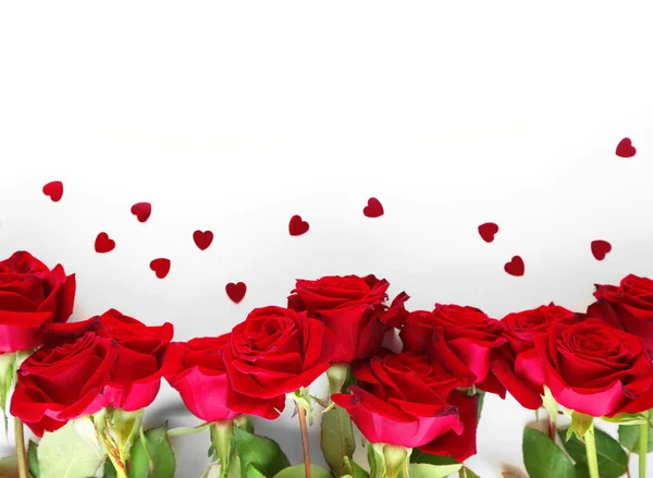 Beautiful red roses, isolated on white — Stock Photo, Image