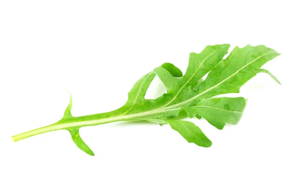 Green arugula leaf isolated on white — Stock Photo, Image