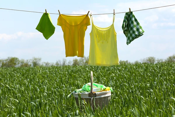 Laundry line with clothes in spring field — Stock Photo, Image