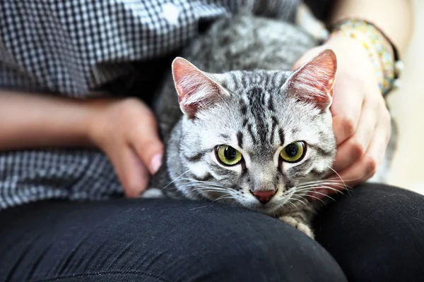 女人抱着可爱猫咪关闭 — 图库照片