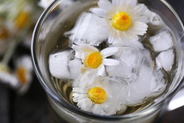 Papatya çayı papatya çiçeği ile