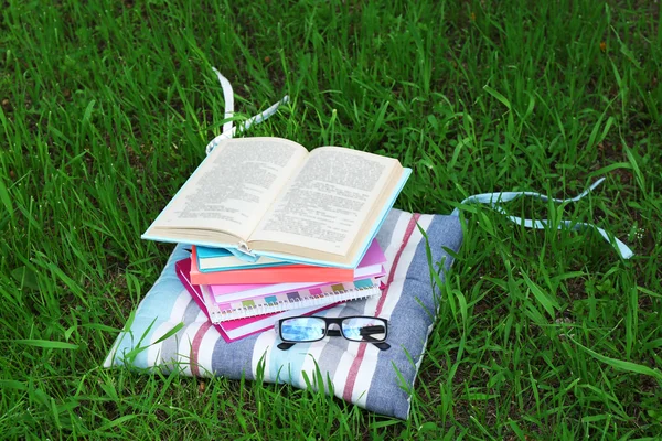 Livros e óculos no travesseiro na grama close-up — Fotografia de Stock