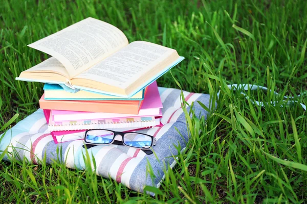 Livres et verres sur oreiller sur herbe gros plan — Photo