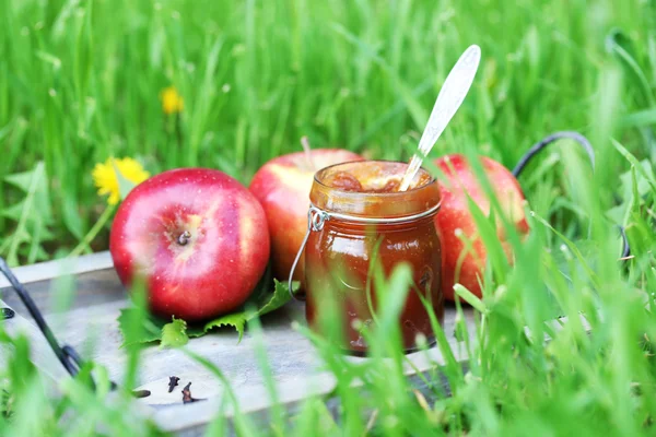 Povidly v jar a červené ředkvičky čerstvé trávy — Stock fotografie