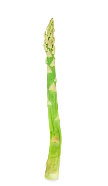 Fresh asparagus isolated on  white — Stock Photo, Image