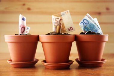 Çiçeklik ahşap arka plan üzerinde büyüyen para