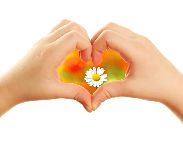 Beautiful flower in heart formed by child hands — Stock Photo, Image