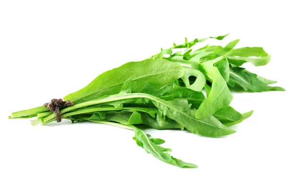 Bando de folhas de arugula frescas — Fotografia de Stock