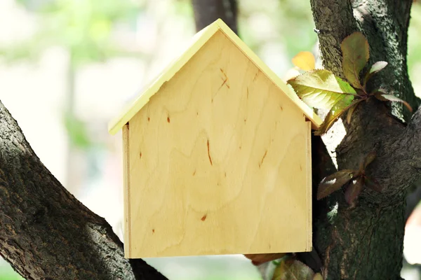 Casa na árvore, close up — Fotografia de Stock