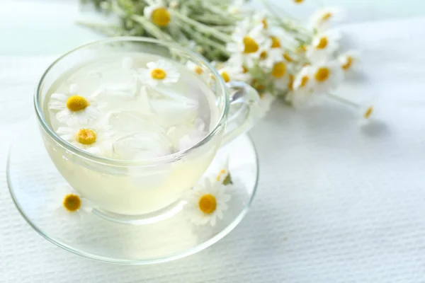 Té de manzanilla con flores de manzanilla —  Fotos de Stock