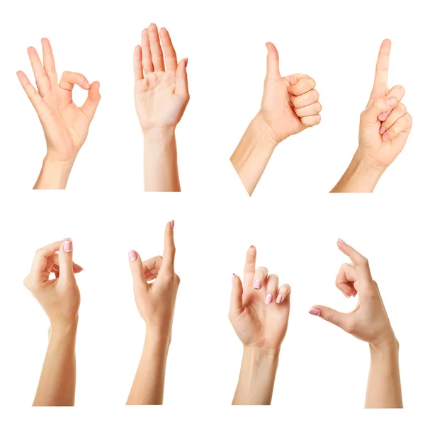 Collage of  hands showing different gestures Royalty Free Stock Photos