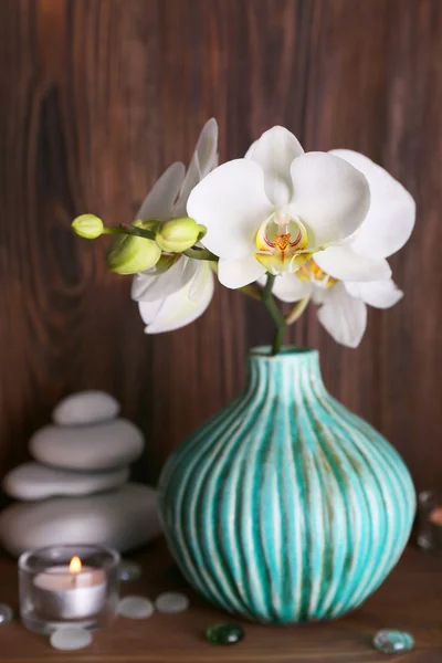 White orchid on wooden background — Stock Photo, Image