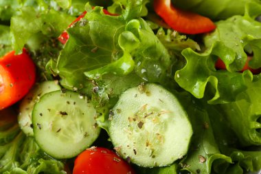 taze sebze salatası yakın çekim