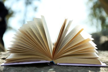 ağaç dalı, kitap yakın çekim