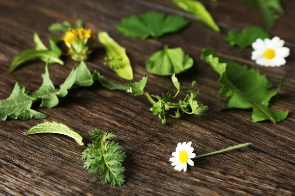 Varias plantas medicinales sobre fondo de madera —  Fotos de Stock