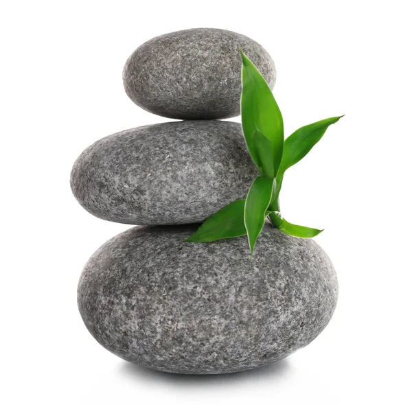 Stack of spa stones with green leaves — Stock Photo, Image