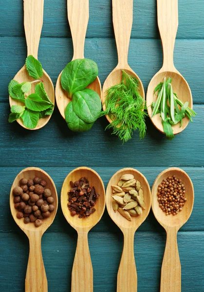 Holzlöffel mit frischen Kräutern und Gewürzen — Stockfoto