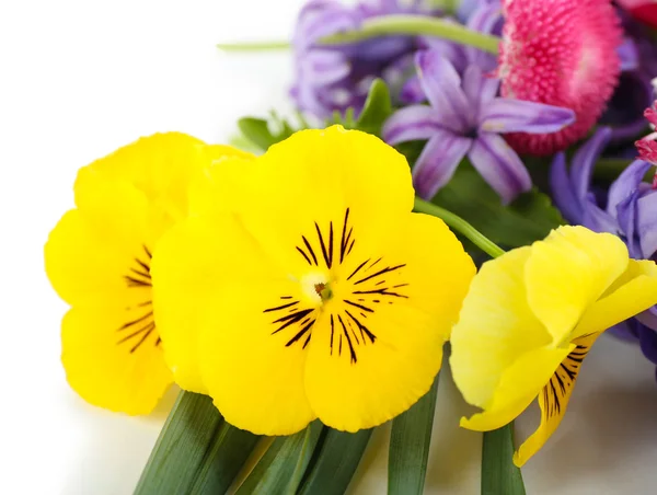 Beautiful bouquet of bright flowers — Stock Photo, Image