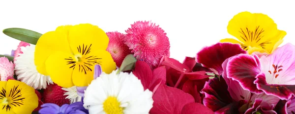 Mooi boeket van heldere bloemen — Stockfoto