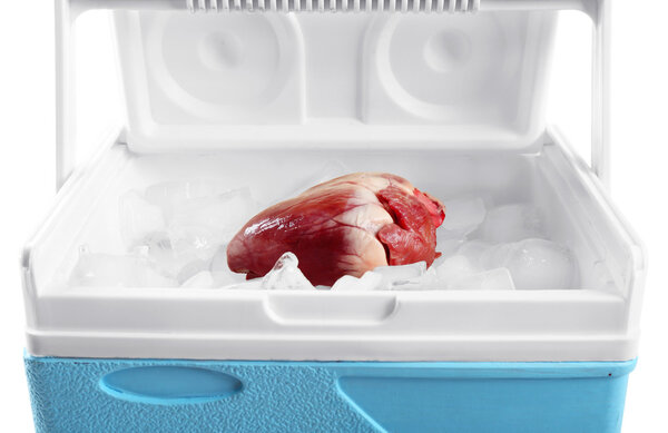 Орган сердца в холодильнике
