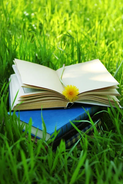 Livros empilhados com flor na grama — Fotografia de Stock