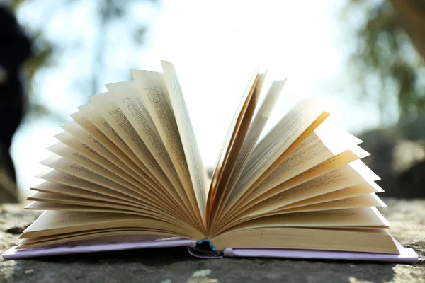 Libro su ramo d'albero, primo piano — Foto Stock