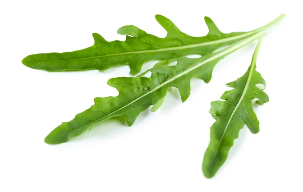 Green arugula leaves isolated on white — Stock Photo, Image