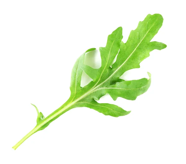 Groene arugula blad geïsoleerd op wit — Stockfoto