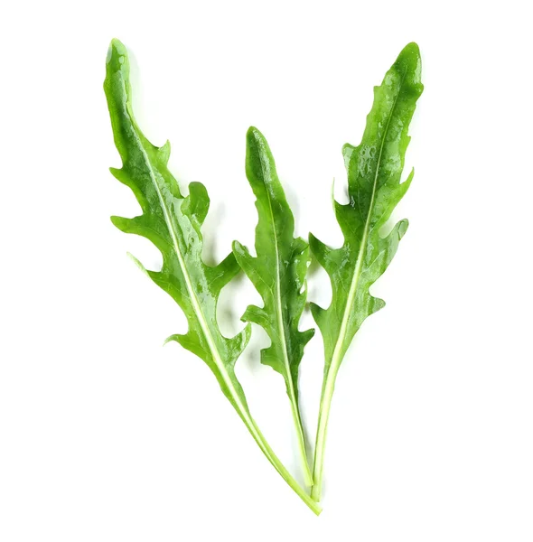 Zöld sült saláta kitûnõ levelek elszigetelt fehér — Stock Fotó