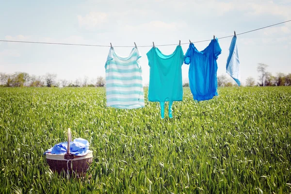 Laundry line with clothes — Stock Photo, Image