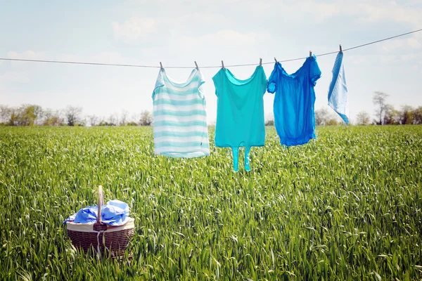 Wasserij lijn met kleren — Stockfoto