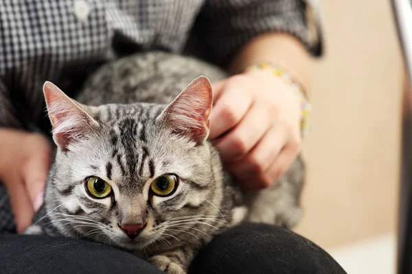 Kvinna anläggning söt katt — Stockfoto