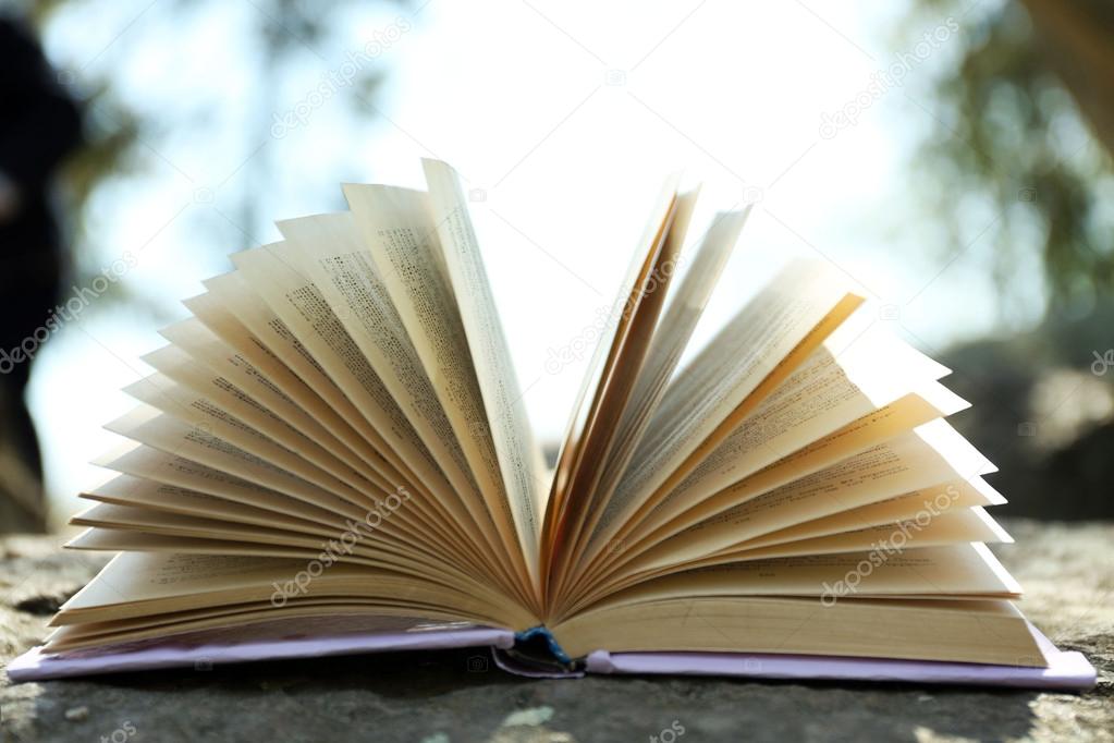 Book on tree branch, close-up