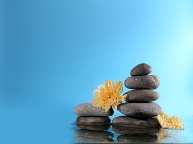 çiçekler taşlarla Spa