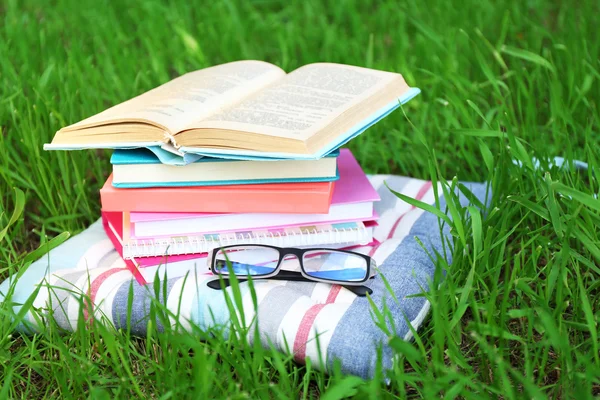 Books and glasses on pillow on grass