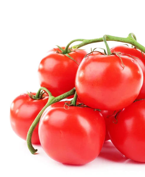 Grupo de tomates cherry aislados en blanco — Foto de Stock