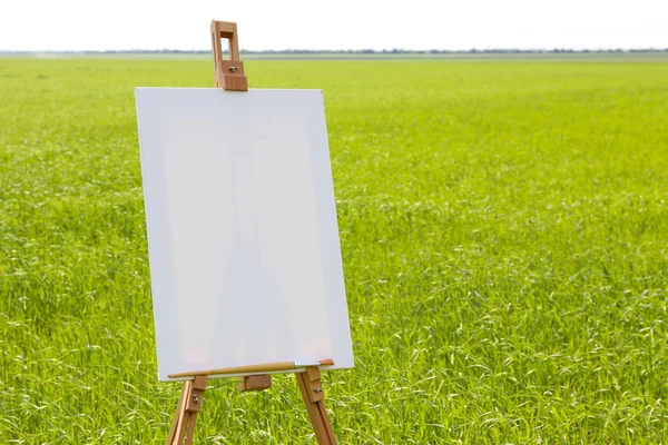 Easel com tela no campo verde — Fotografia de Stock