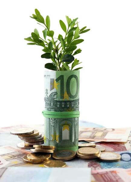 Money with growing sprout — Stock Photo, Image