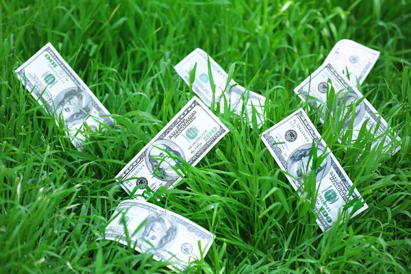 Banknotes money over green grass — Stock Photo, Image