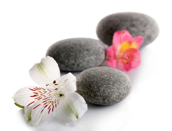 Batu spa dengan bunga yang terisolasi pada warna putih — Stok Foto