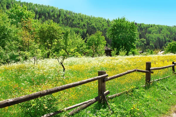 Valla de madera a lo largo de la hermosa pradera sobre la montaña con arboleda de árboles verdes —  Fotos de Stock