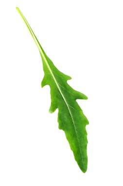 Yeşil roka yaprağı beyaza izole edilmiş.