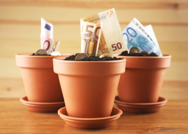 artan para Çiçeklik