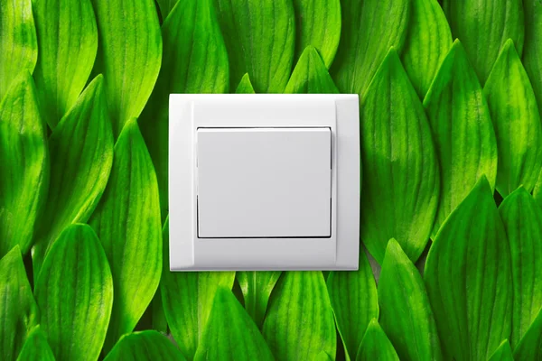 Світловий вмикач на фоні зеленого листя — стокове фото